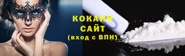 кокс Алексин