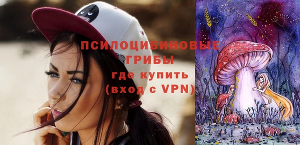 кокс Алексин