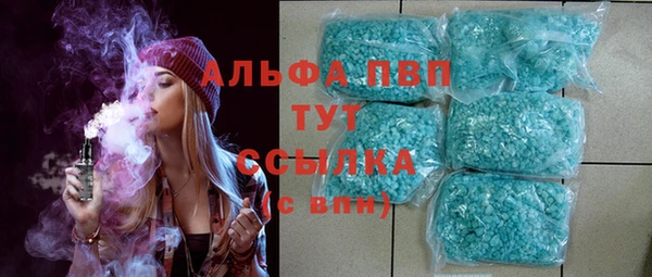 индика Абаза