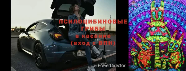 кокс Алексин