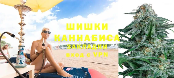 индика Алексеевка
