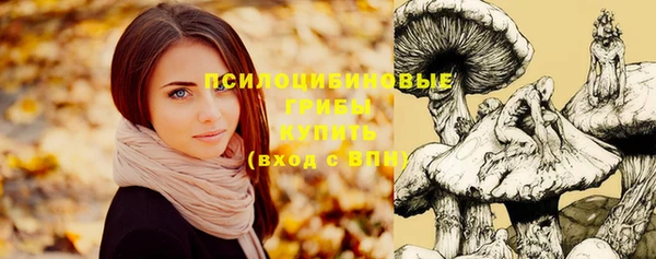 ешки Алзамай