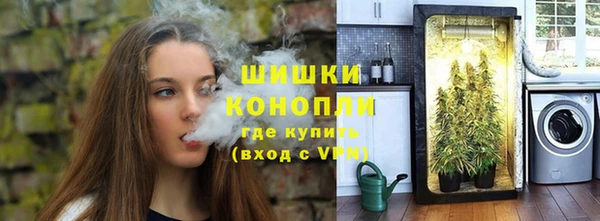 ешки Алзамай